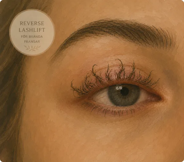 Reverse Lashlift (korrigering)